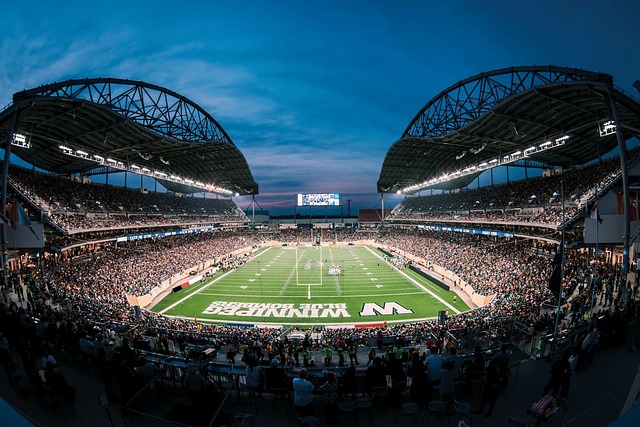 咪咕直播：恭喜！王祉怡获得世界羽联年终总决赛女单冠军 韩悦收获亚军央视新闻客户端.