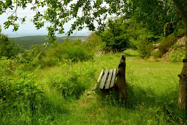 欧联-B费戴帽达洛特破门 曼联总分5-2皇家社会晋级8强.